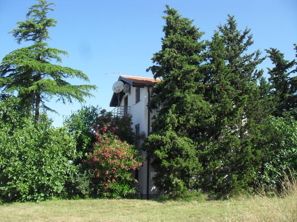 Apartment Lana Privlaka  Kültér fotó