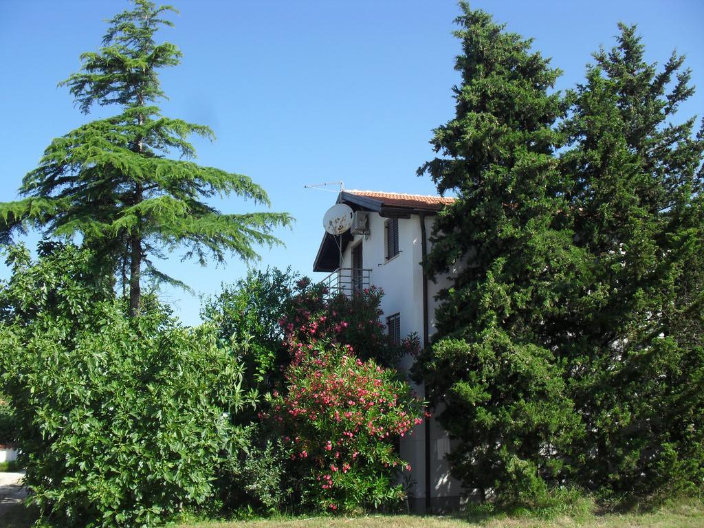 Apartment Lana Privlaka  Kültér fotó